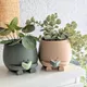 Planters