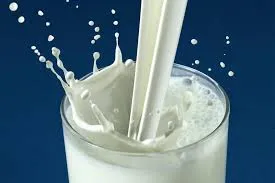 Milk (Toned/Full Cream)
