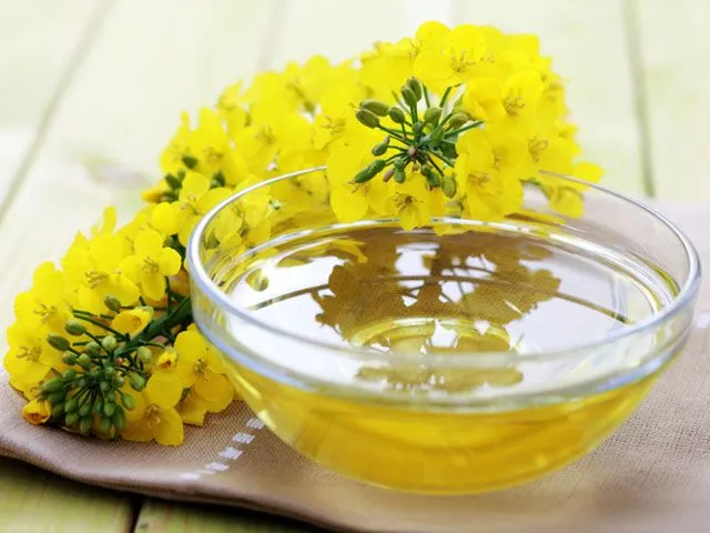 Canola oil